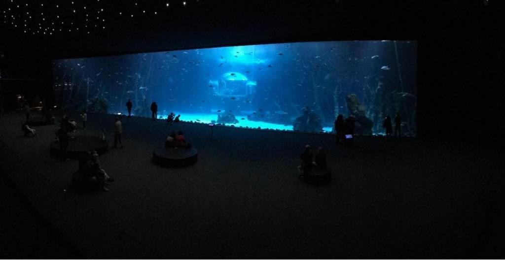 Las Canteras Aquarium ลาสปัลมาส เด กรานคานาเรีย ภายนอก รูปภาพ